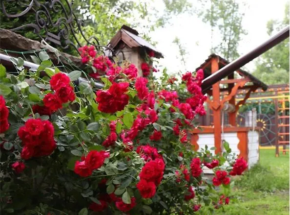Tatil Evi Apple House *